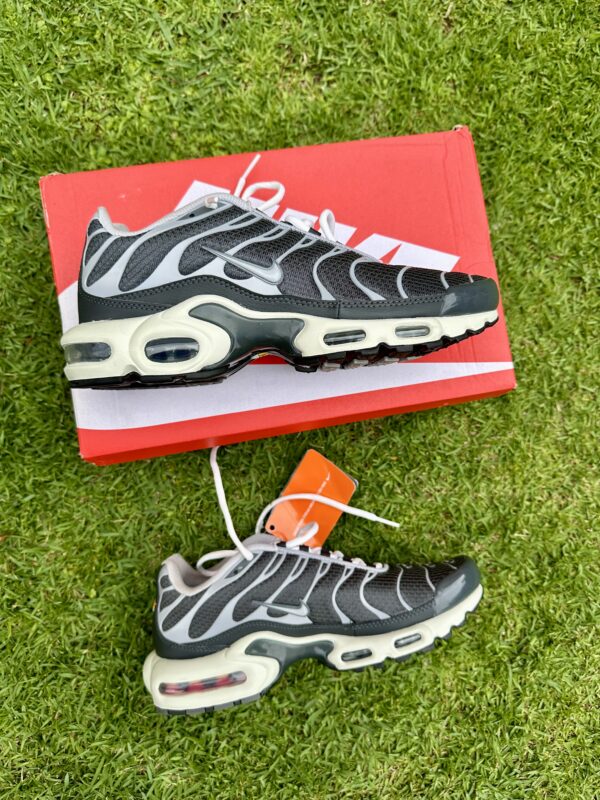 Nike Air Max Plus Greyscale Cool Grey